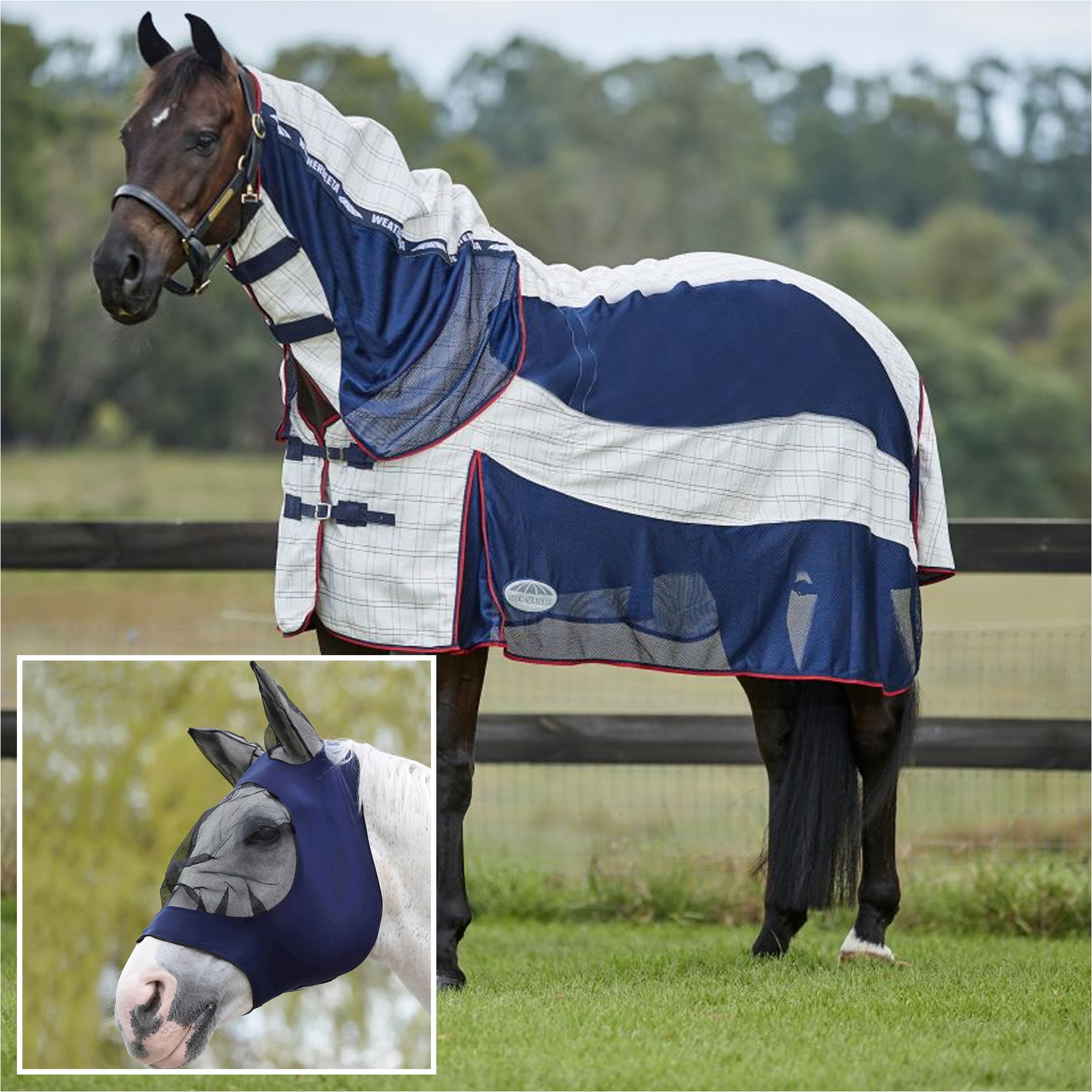 Fly Rug Weatherbeeta 2023 Weatherbeeta Breeze Fly Rug with FREE Fly Mask WFRFM1 - White ...