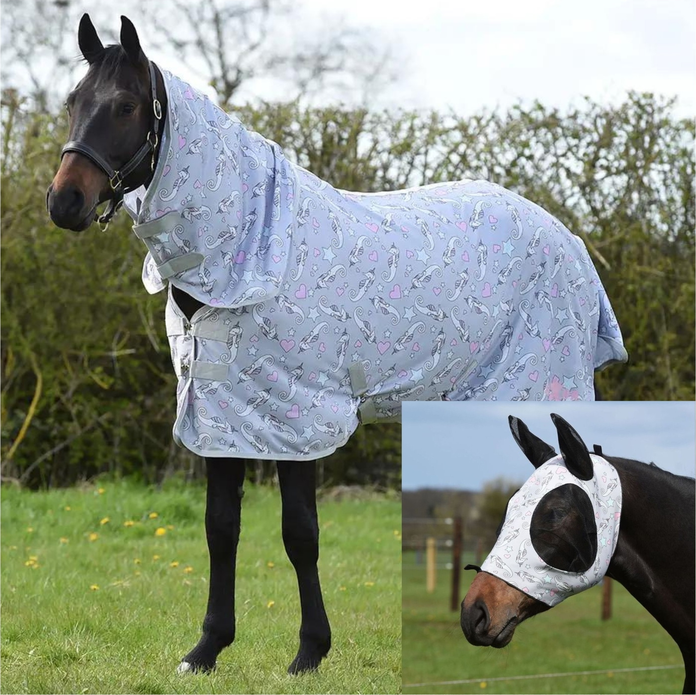 2024 Saxon Mesh Combo Neck Fly Rug & Free Weatherbeeta Fly Mask Bundle ...