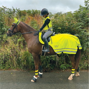 Woof Wear Hi Vis Exercise Sheet WS0032 - VZYE - L - Hi Viz Yellow