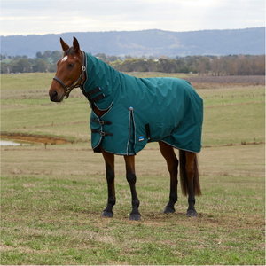 2025 WeatherBeeta Comfitec Klassiker Sich Herausstellen Combo 1029069 - Forest Green