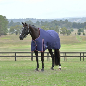 2025 WeatherBeeta Comfitec Essentiell Sich Herausstellen 1029022 - Navy