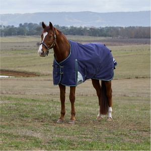 2025 Weatherbeeta Comfitec Plus Dynamic Turnout 1029009 - Navy