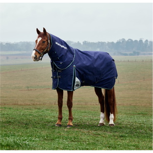 2025 Weatherbeeta Comfitec Plus Dynamic Turnout Detach - A - Neck 1029004 - Navy