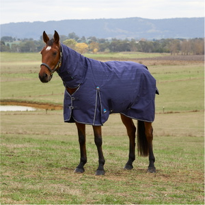 2025 Weatherbeeta Comfitec Vorläufig Sich Herausstellen Combo 220G 1029030 - Navy Embossed Plaid