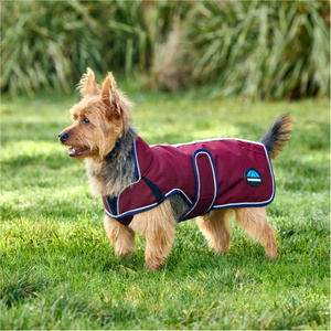 2025 Weatherbeeta Comfitec Premier Deluxe Waterproof Dog Coat 1028800 - Burgundy
