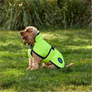 2025 Weatherbeeta Comfitec Reflective 300D Deluxe Showerproof Dog Coat 1029050 - Yellow