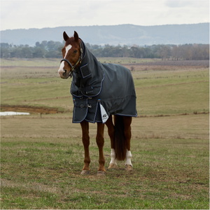 2025 Weatherbeeta Comfitec Ultra Turnout Detach - A - Neck 1028772 - Charcoal
