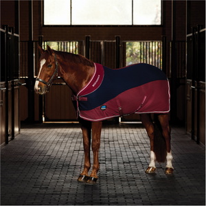 2025 WeatherBeeta Thermo-Lucht Koeler Standaard Hals 1018925 - Burgundy