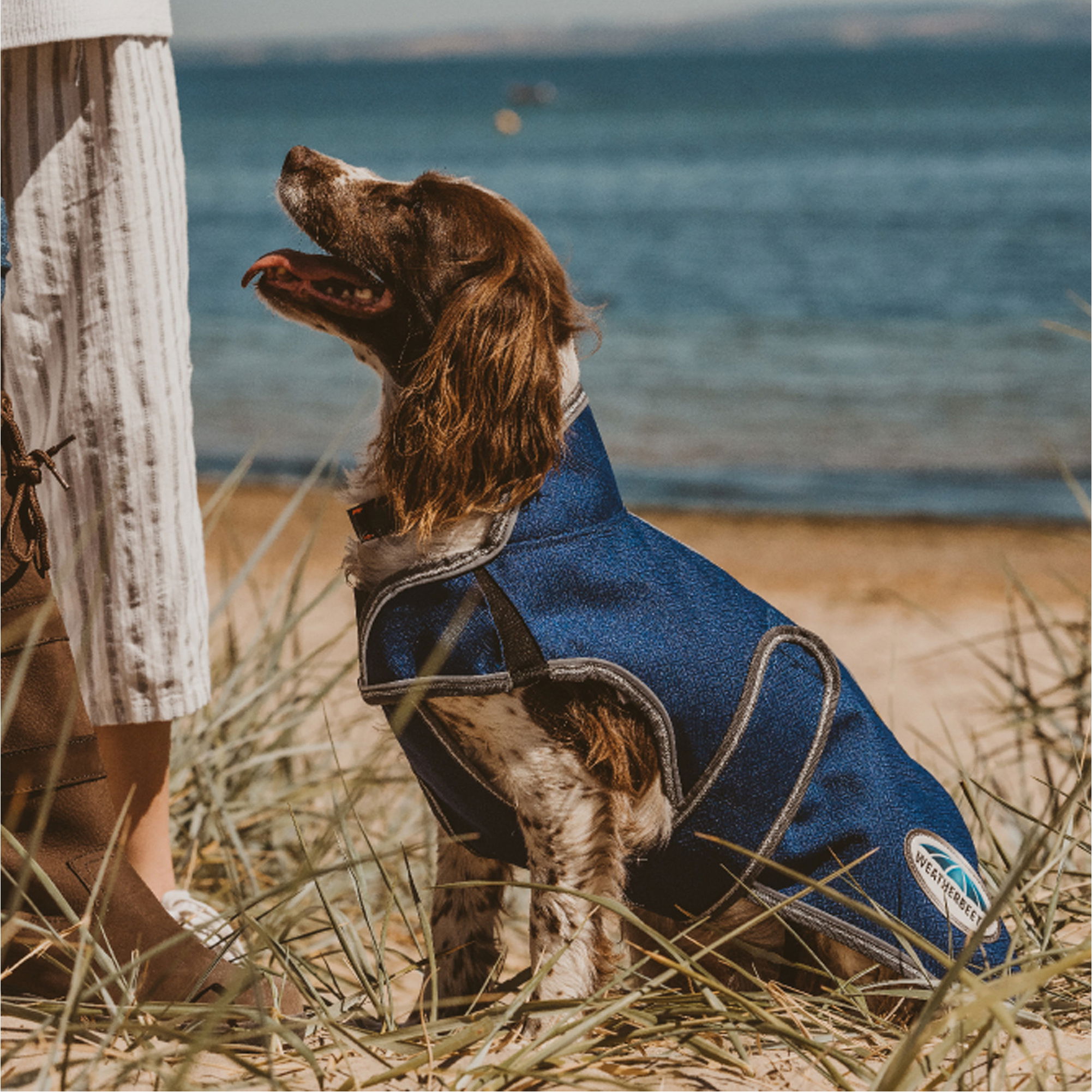 Weatherbeeta Hundemantel Comfitec Premier - Wasserfest, Atmungsaktiv, Mit Fleece-Futter, Dunkelblau/grau/weiß