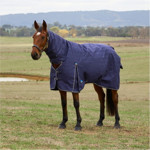 2026 WeatherBeeta Comfitec Vorläufig Sich Herausstellen Teppich Combo 0G 1029031 - Navy Embossed Plaid