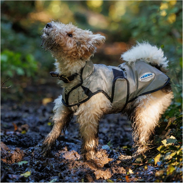 Weatherbeeta Comfitec Reflective Dog Coat - Silver