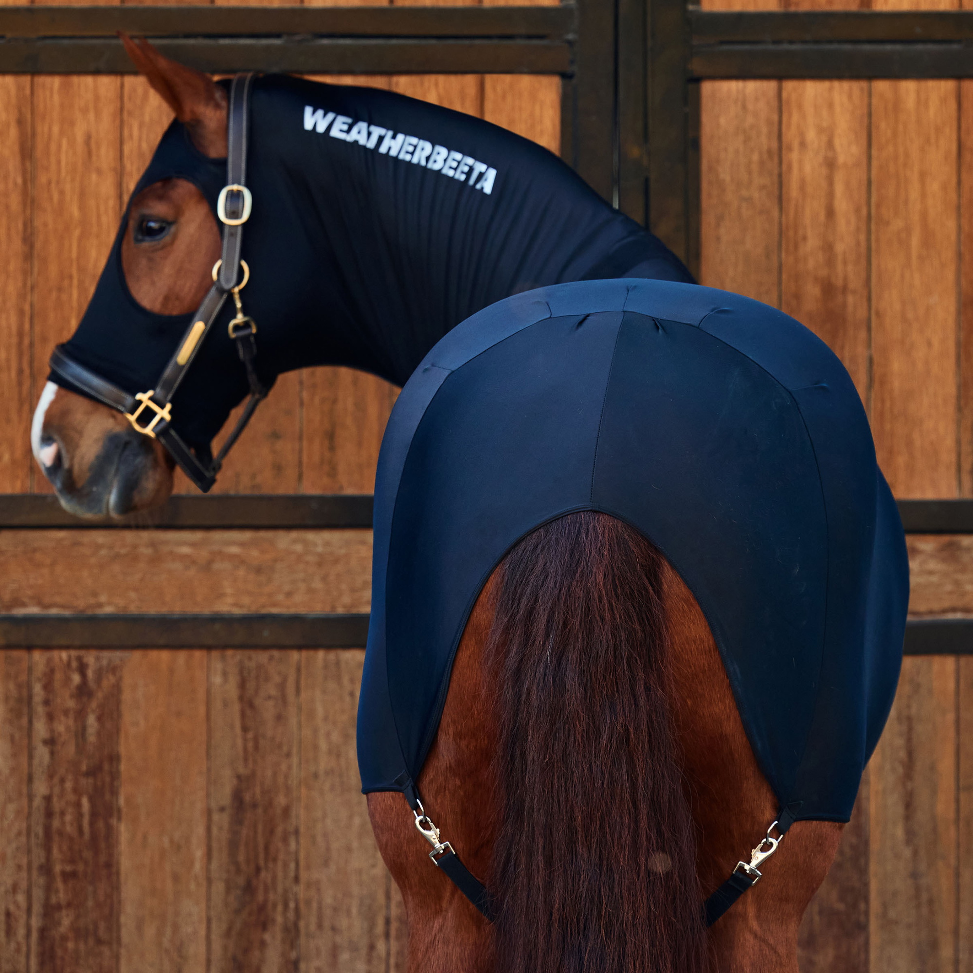 Weatherbeeta Stretch Vloerbedekking - Black