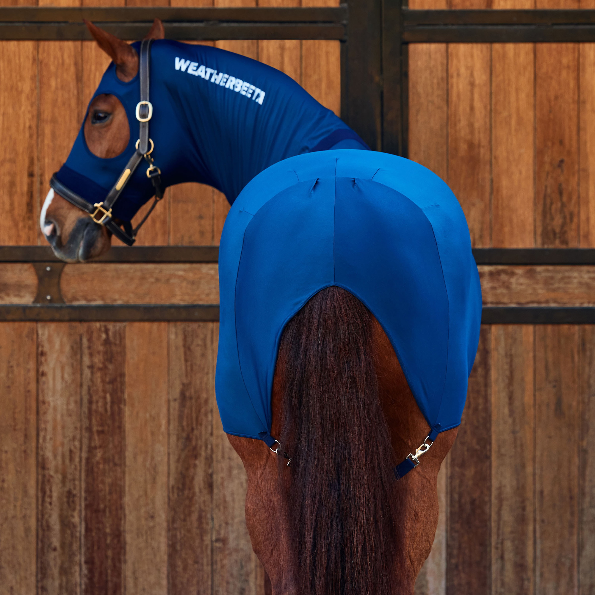 Weatherbeeta Stretch Vloerbedekking - Navy