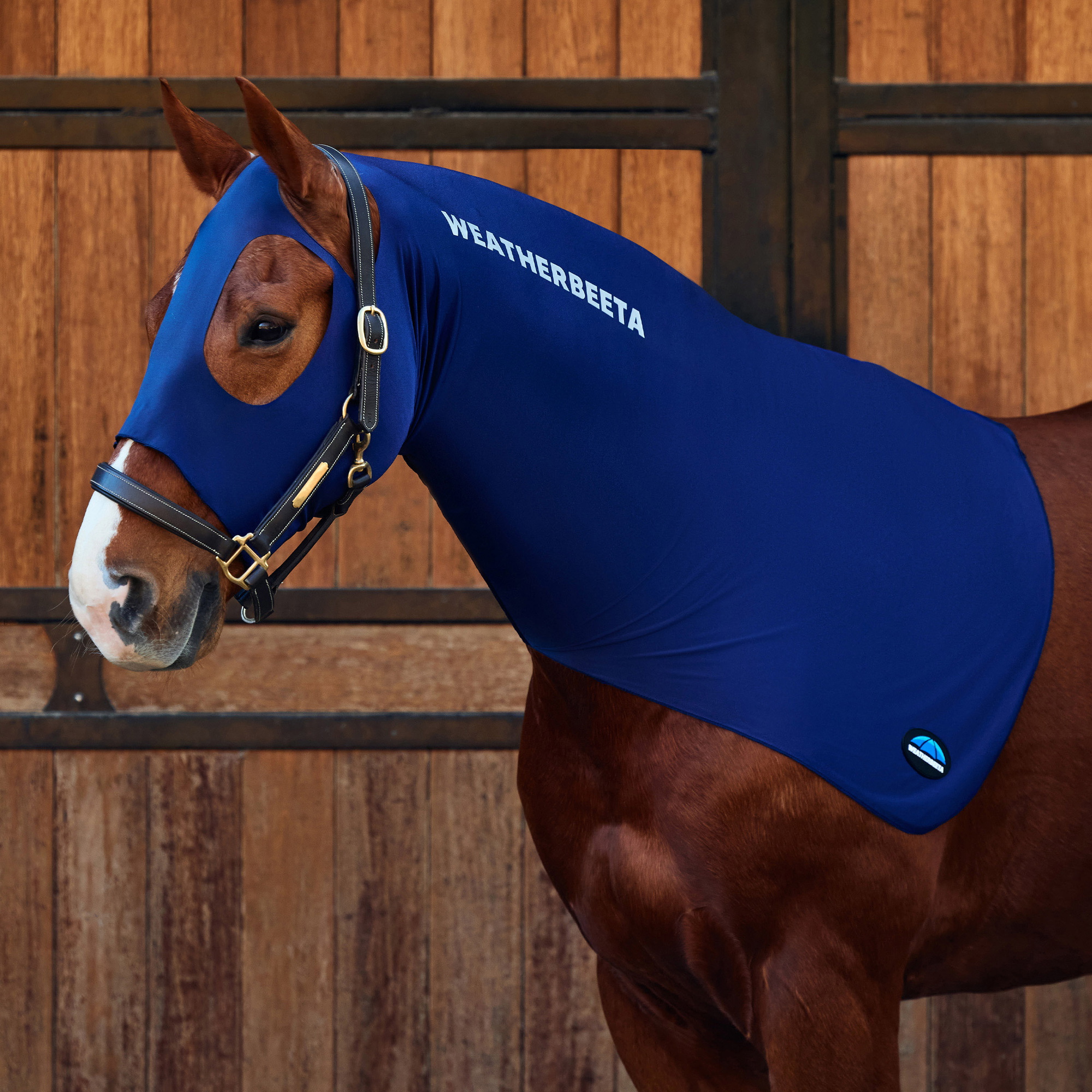 Weatherbeeta Stretch Hood - Navy Wordt Weatherbeeta Rekbaar Kap 589543 - Navy
