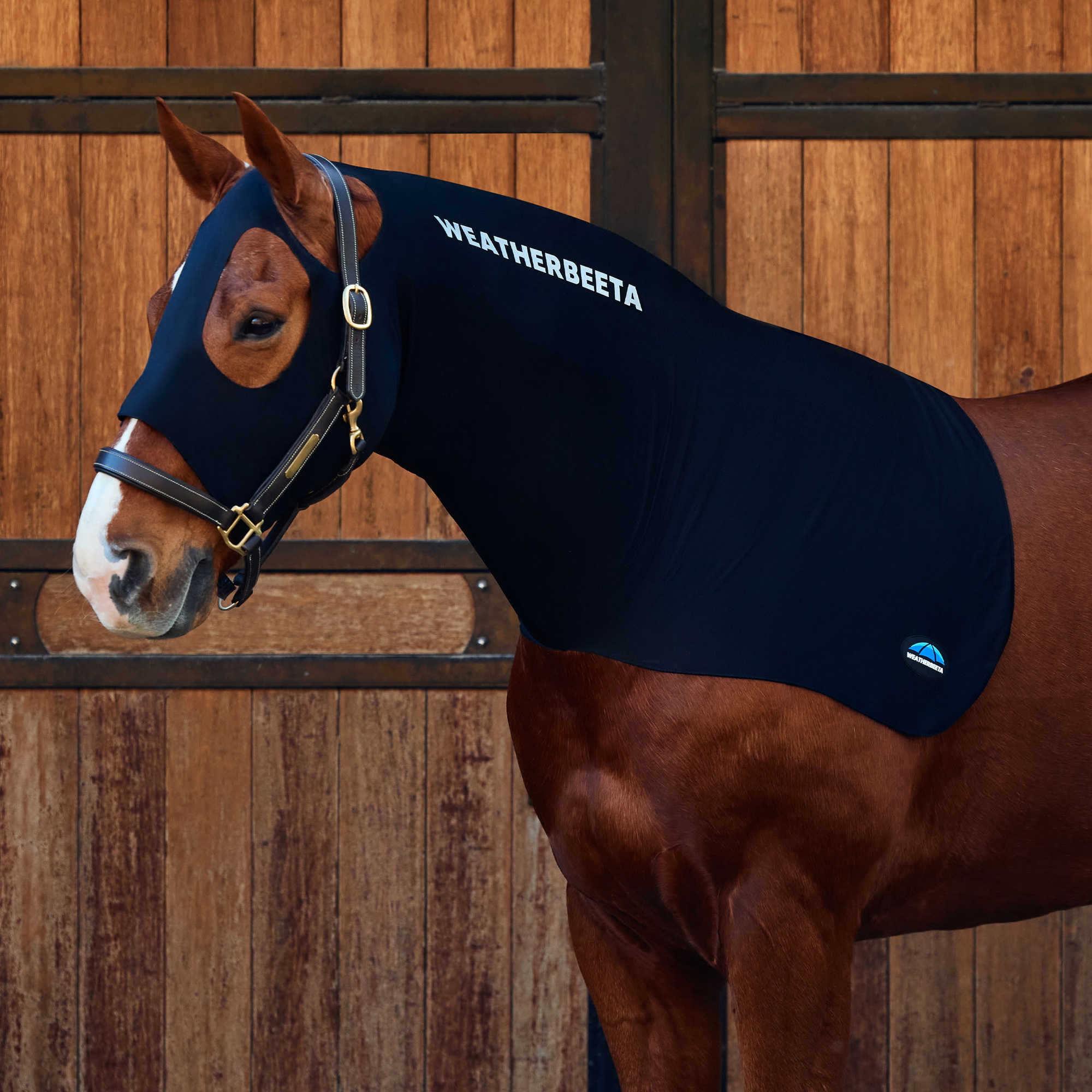 Weatherbeeta Stretch Kap - Black