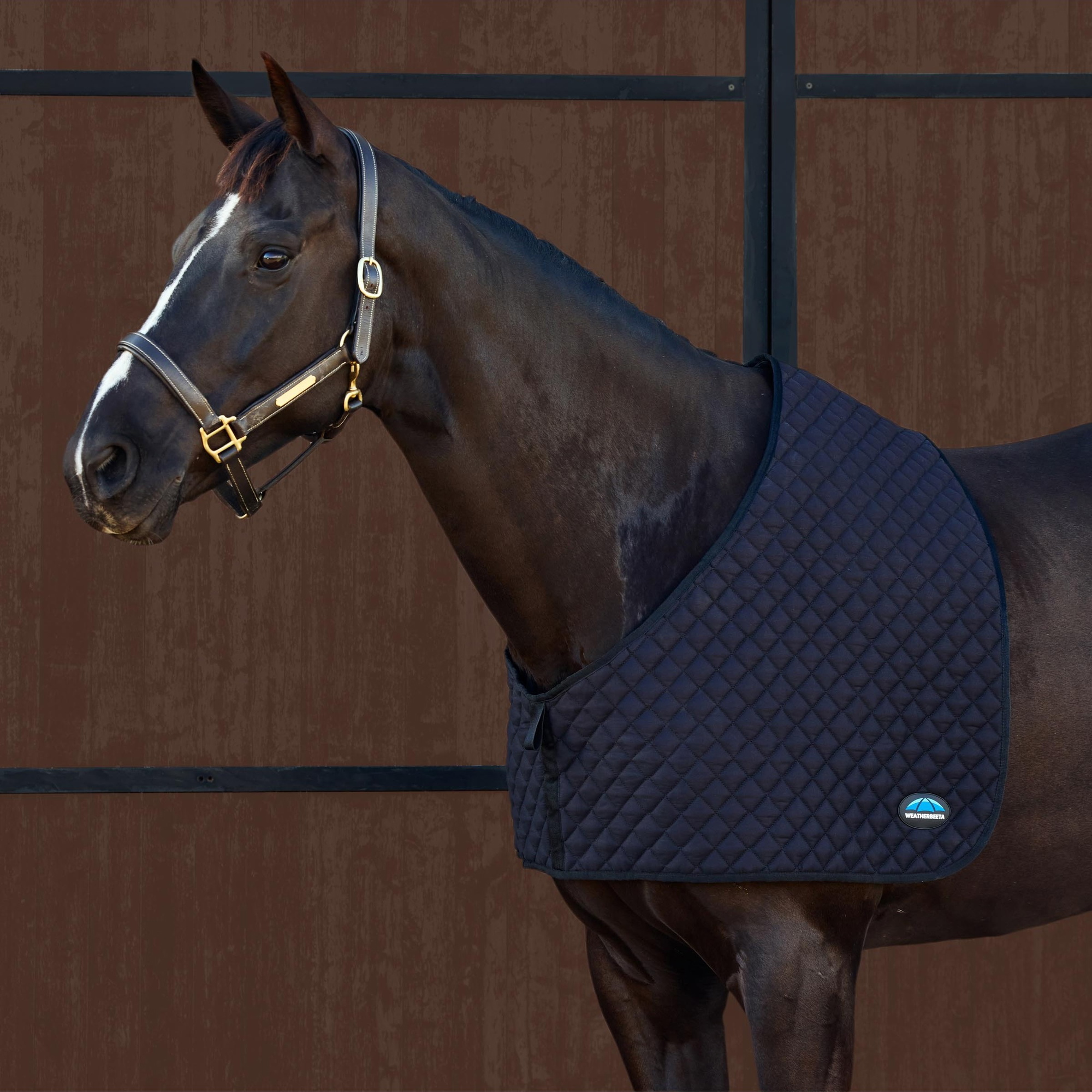 Weatherbeeta Deluxe épaulière Noir