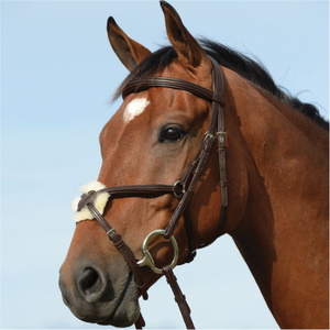 Collegiate Syntovia+ Padded Raised Figure 8 Bridle 1003102 - Brown