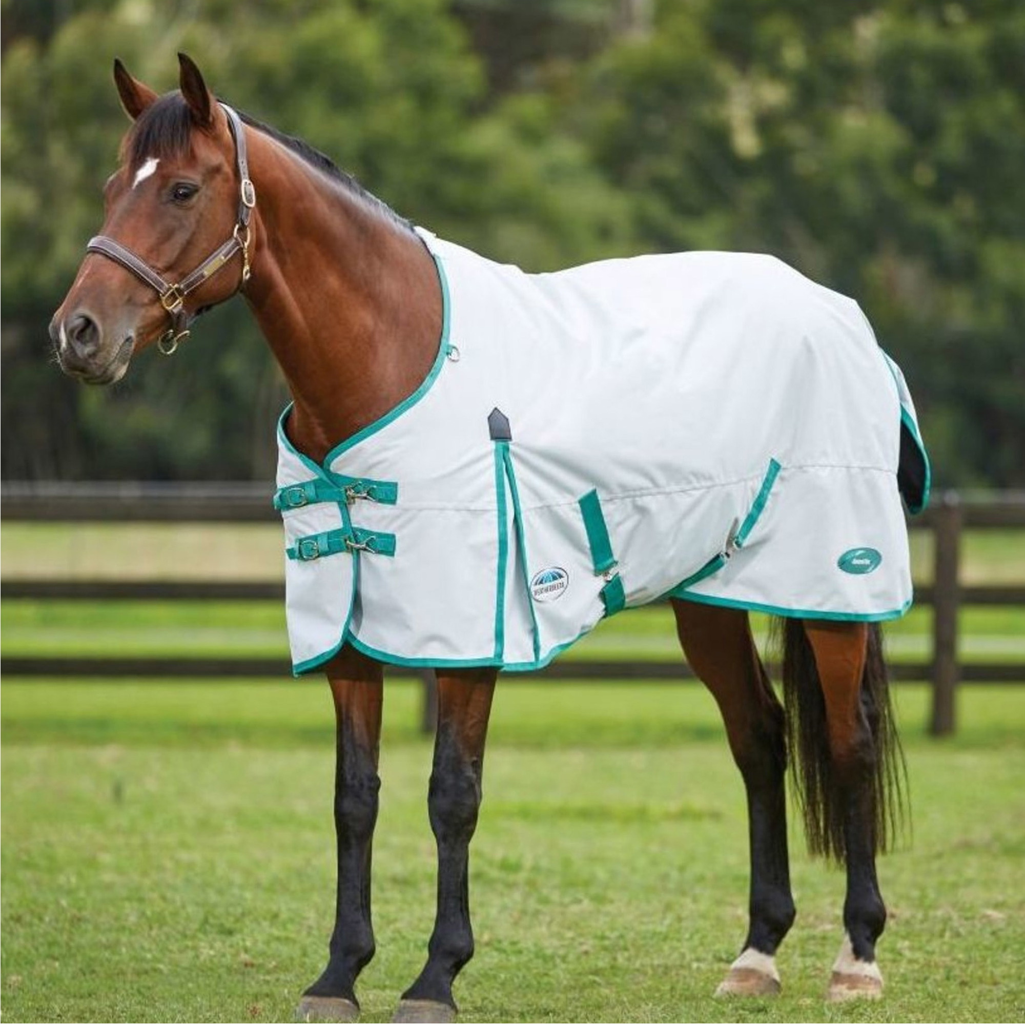 WeatherBeeta Green-Tec 900D Lite Plus Standard Neck Rug - Light Grey