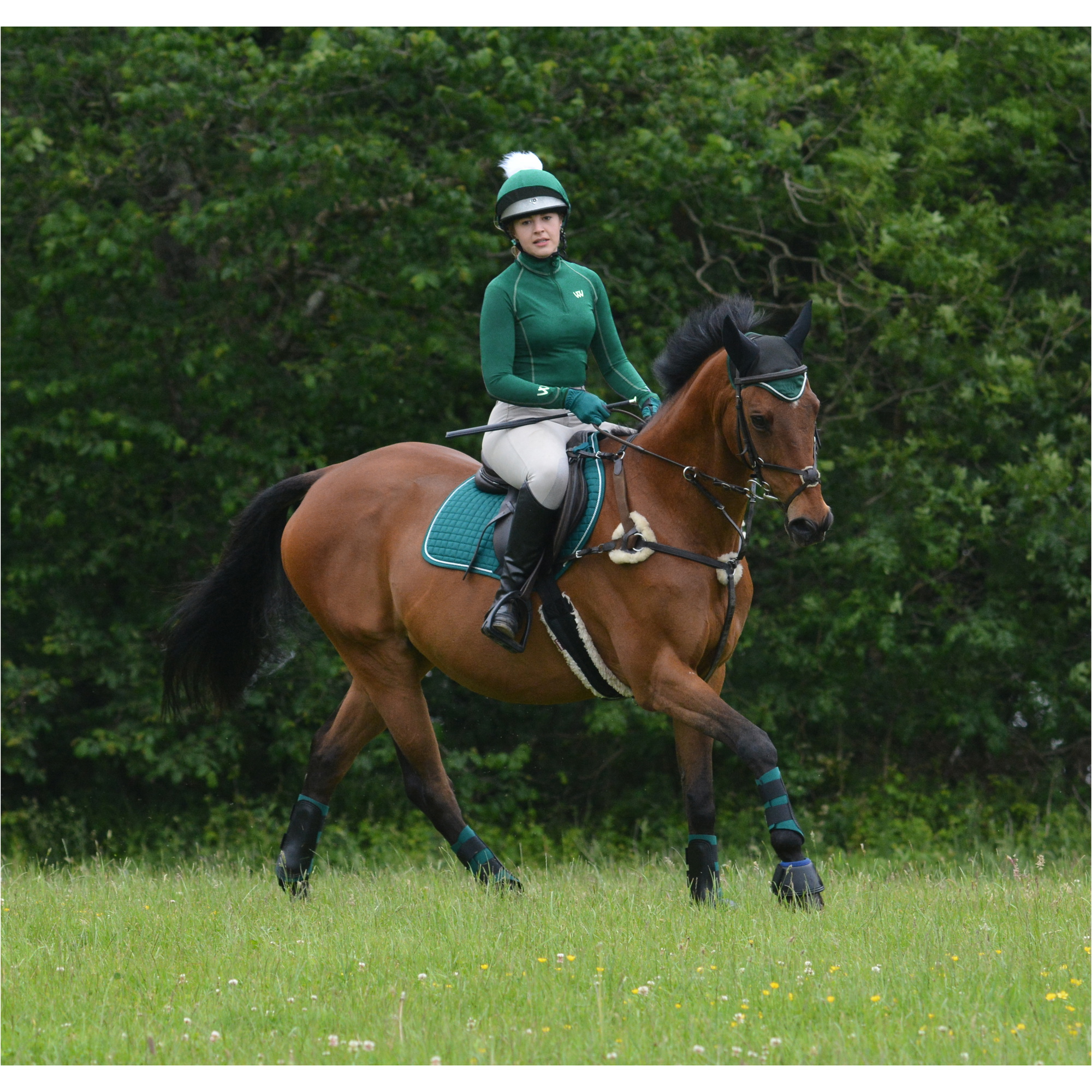 Woof Wear Green Club Brushing Boots WB0003 - British Racing Green