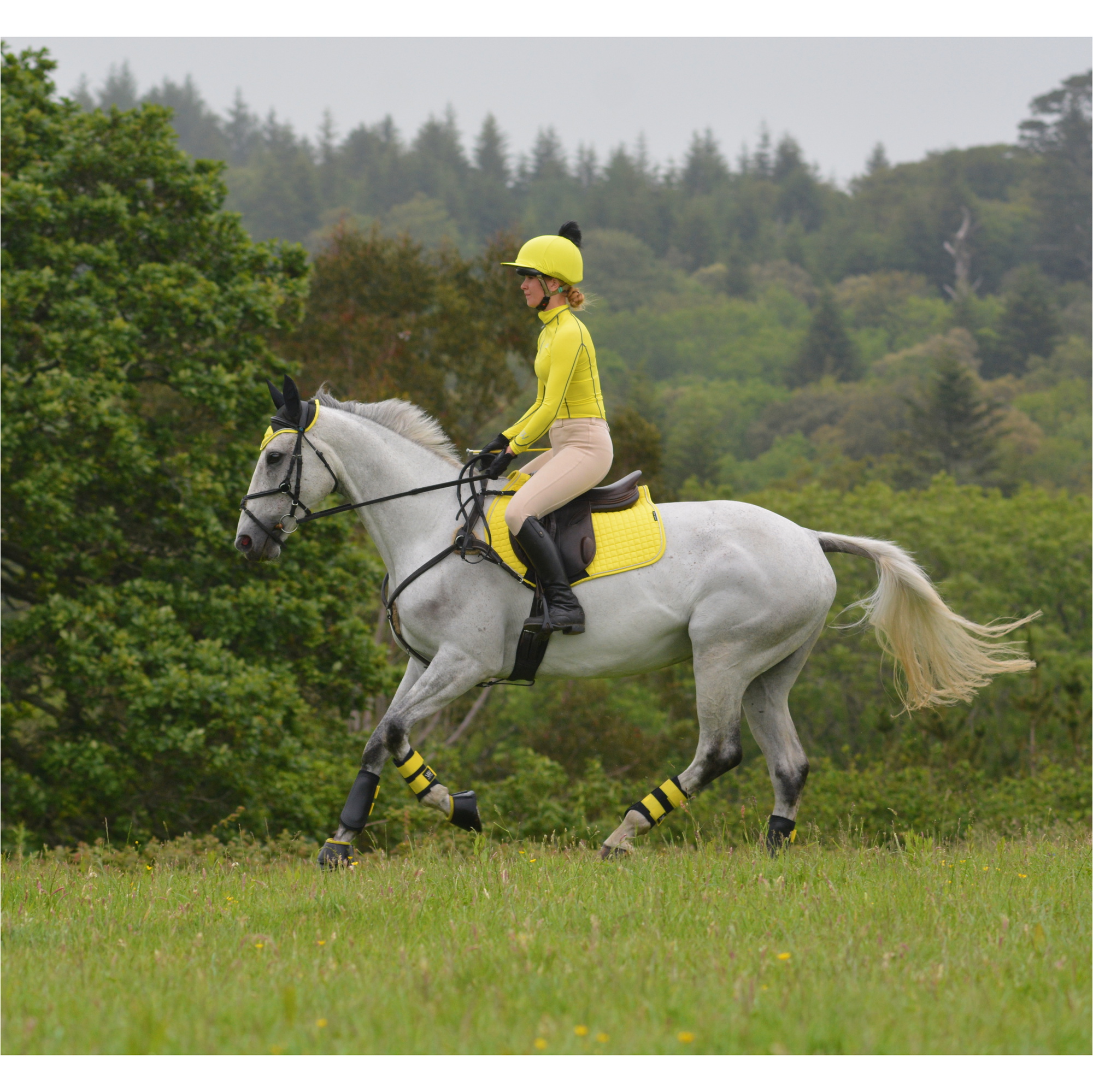 Woof Wear Performance équitation Chemise Wa0001 - Jaune Soleil