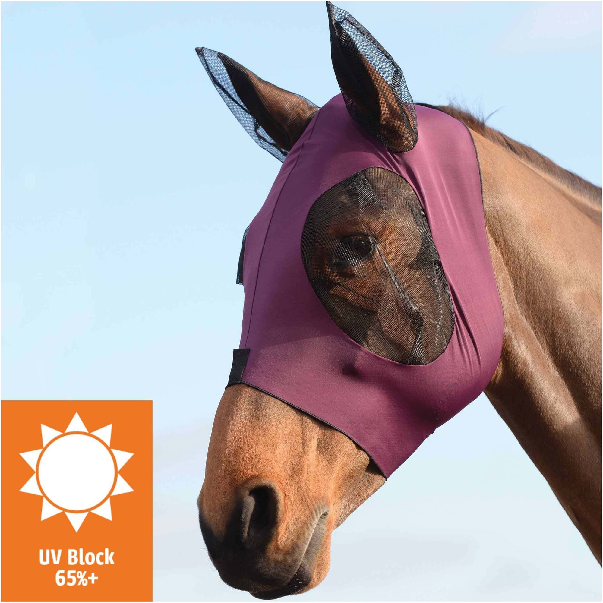 Weatherbeeta Deluxe Stretch Bug Eye Saver Avec Oreilles 1009573023 - Violet / Noir