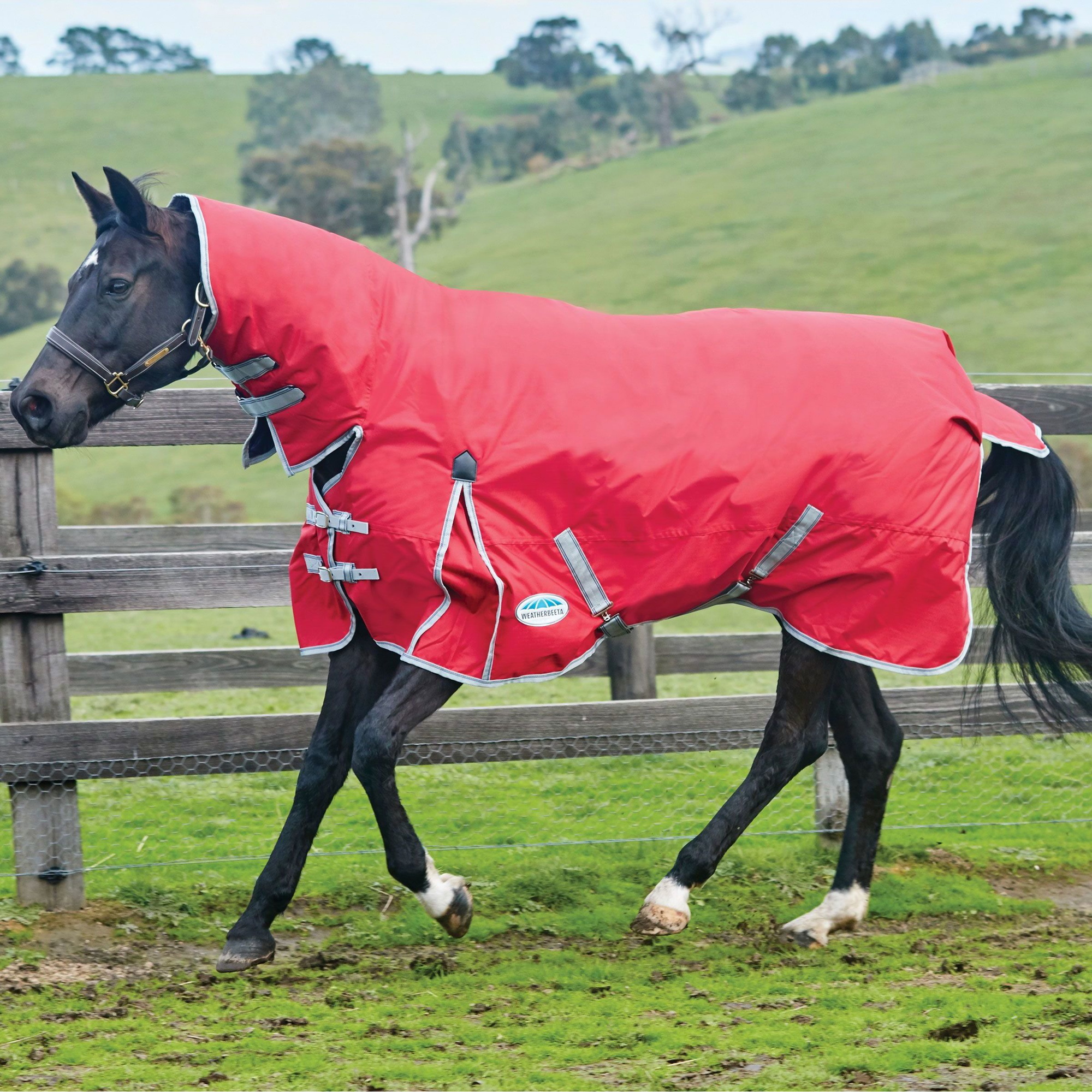 Weatherbeeta Comfitec Classic Lite Combo Nackenschutz - Rot / Navy