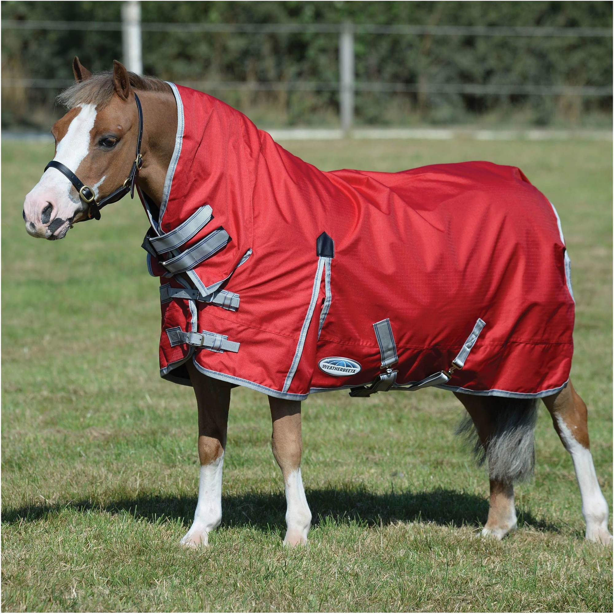 Weatherbeeta Comfitec Classic Lite Combo Nackenschutz - Rot / Navy