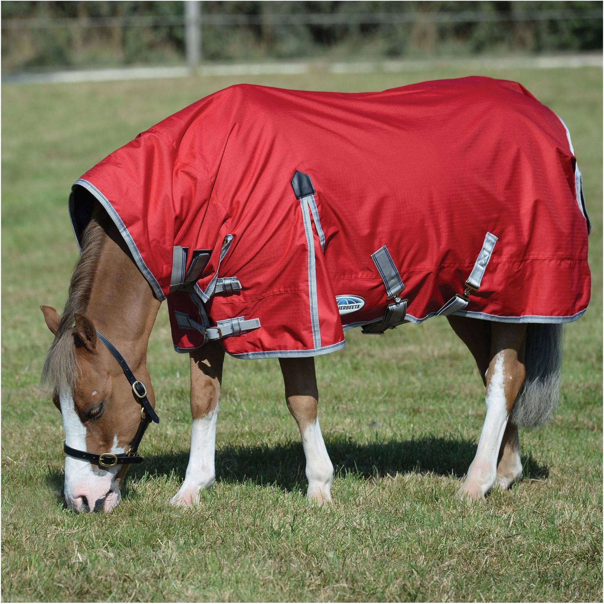 Weatherbeeta Comfitec Classic Lite Combo Nackenschutz - Rot / Navy
