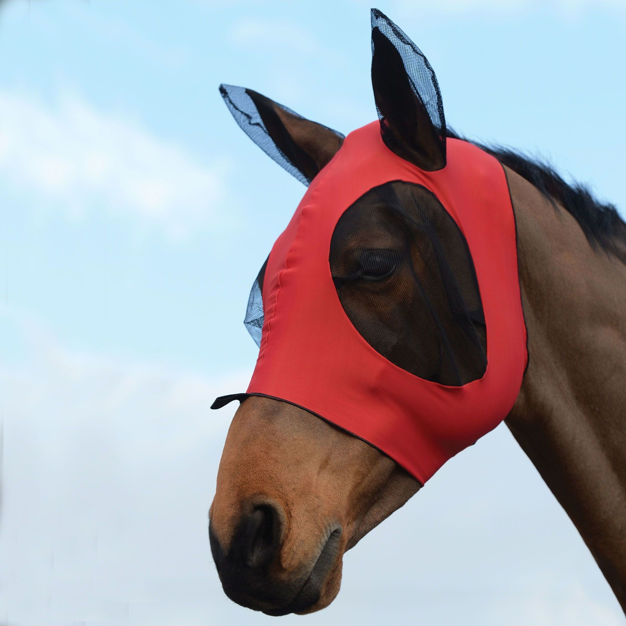 Weatherbeeta Deluxe Stretch Bug Eye Saver With Ears 1009573028 - Red / Black