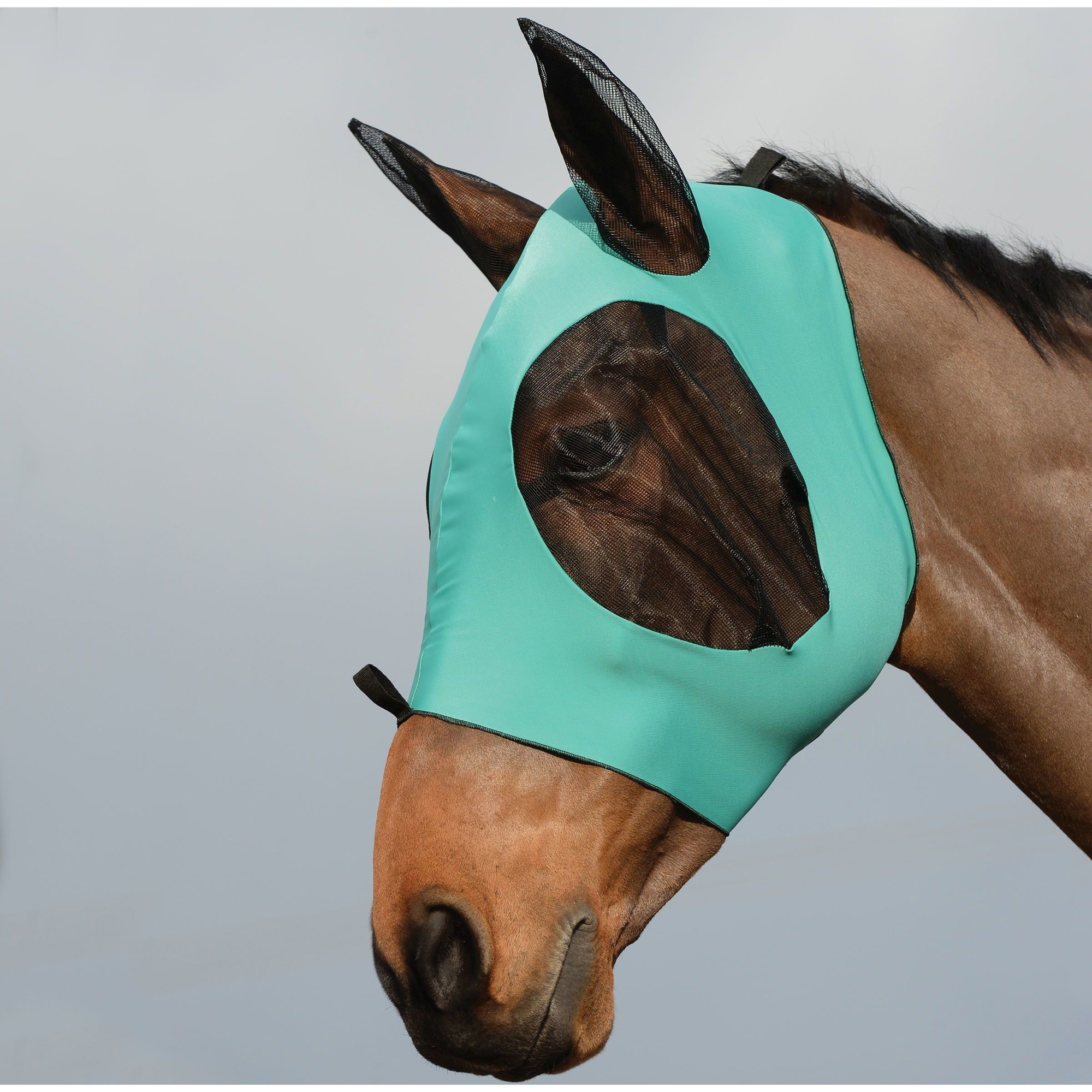 Weatherbeeta Deluxe Stretch Bug Eye Saver With Ears 1009573040 - Turquoise