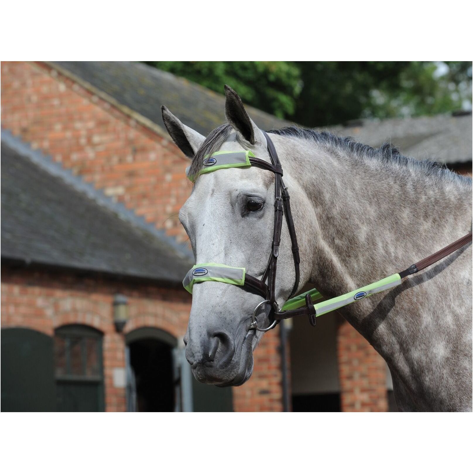 Weatherbeeta Reflective Bridle Kit 4 Piece Yellow 1006587