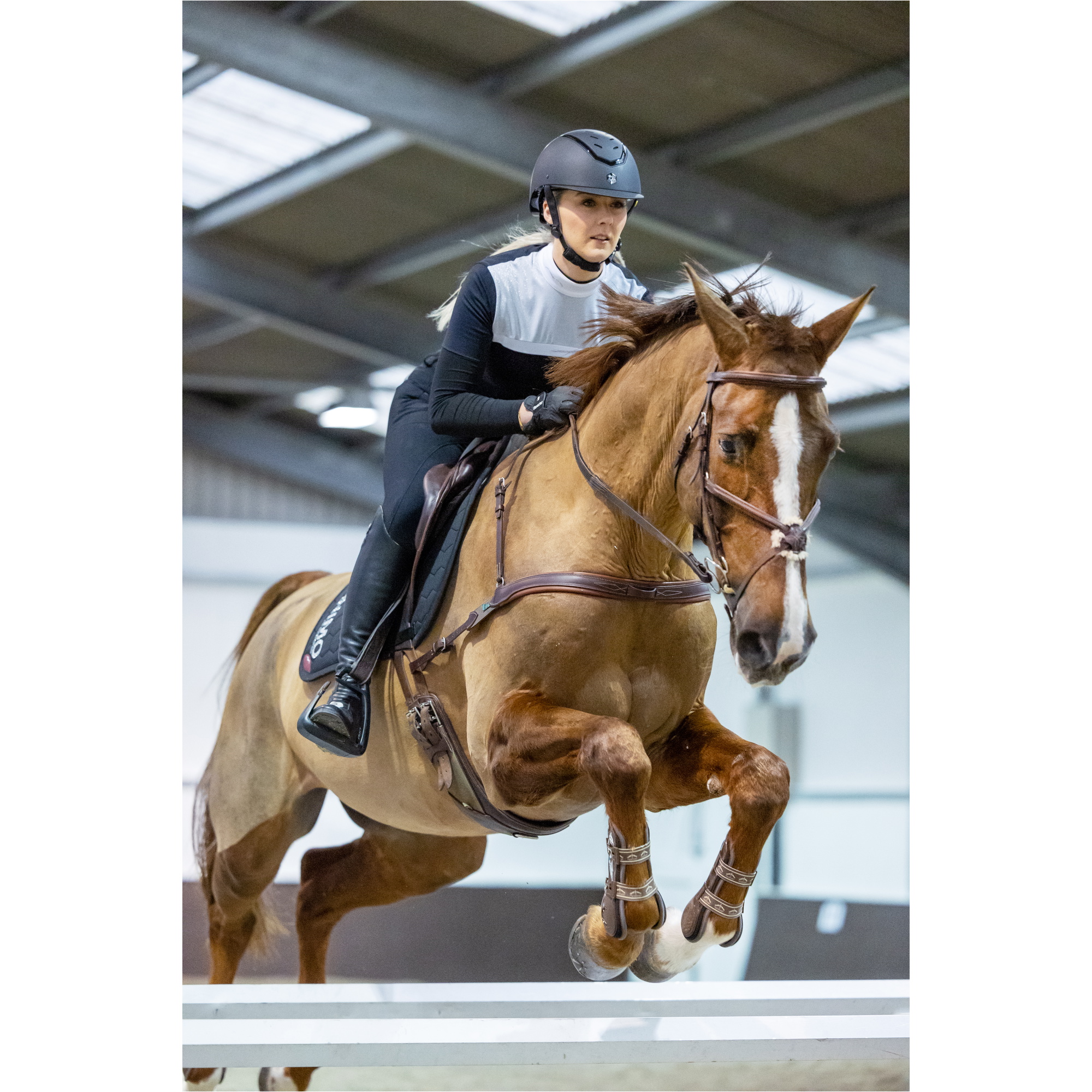 Charles Owen Kylo Standard Peak Riding Helm KYLOC - Schwarz Matt / Black Gloss