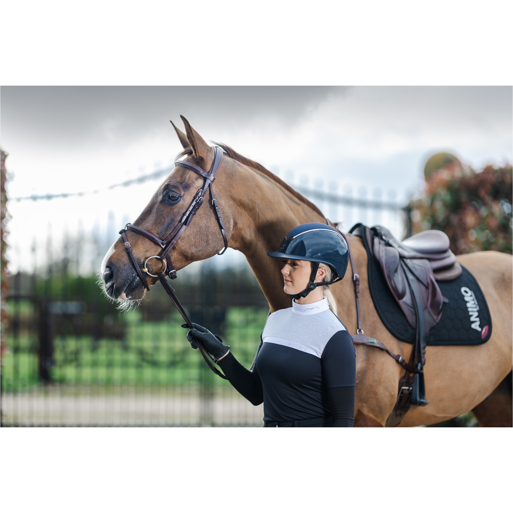 Charles Owen Kylo Standard Peak Riding Helmet Kylo - Navy Brillant / étain