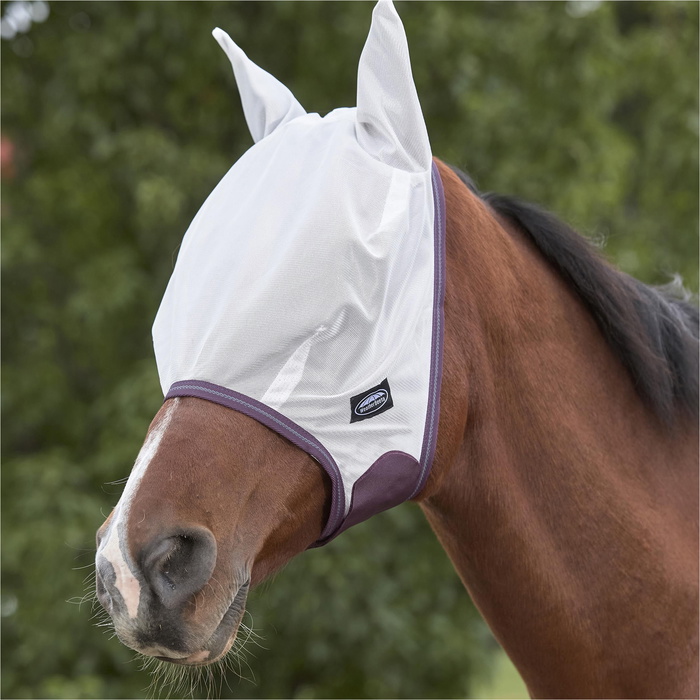 Fly Rug Weatherbeeta Weatherbeeta Comfitec Essential Fly Rug with FREE Fly Mask WFRFM2 ...