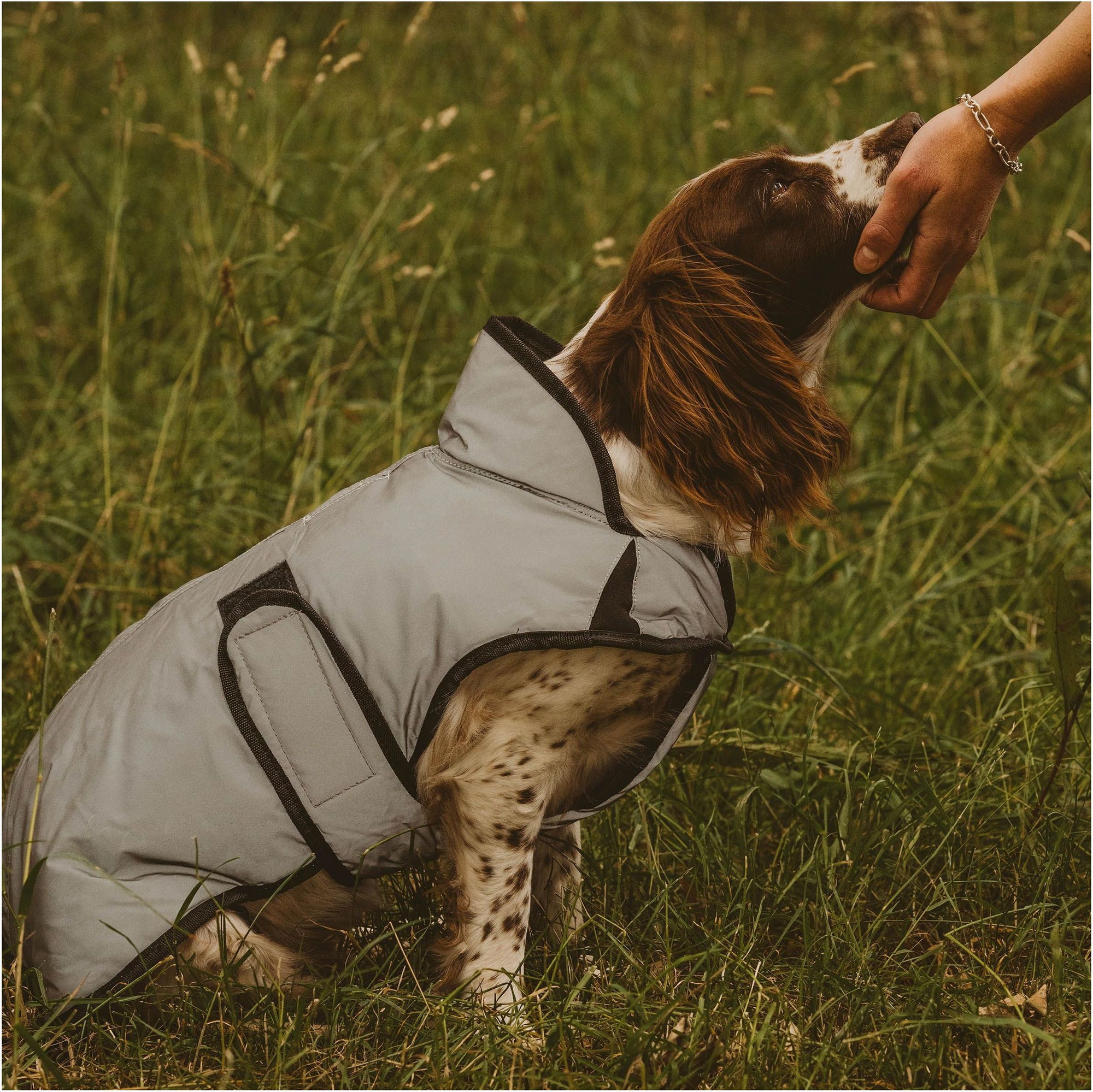 Weatherbeeta Comfitec Reflektierender Hundemantel - Silber