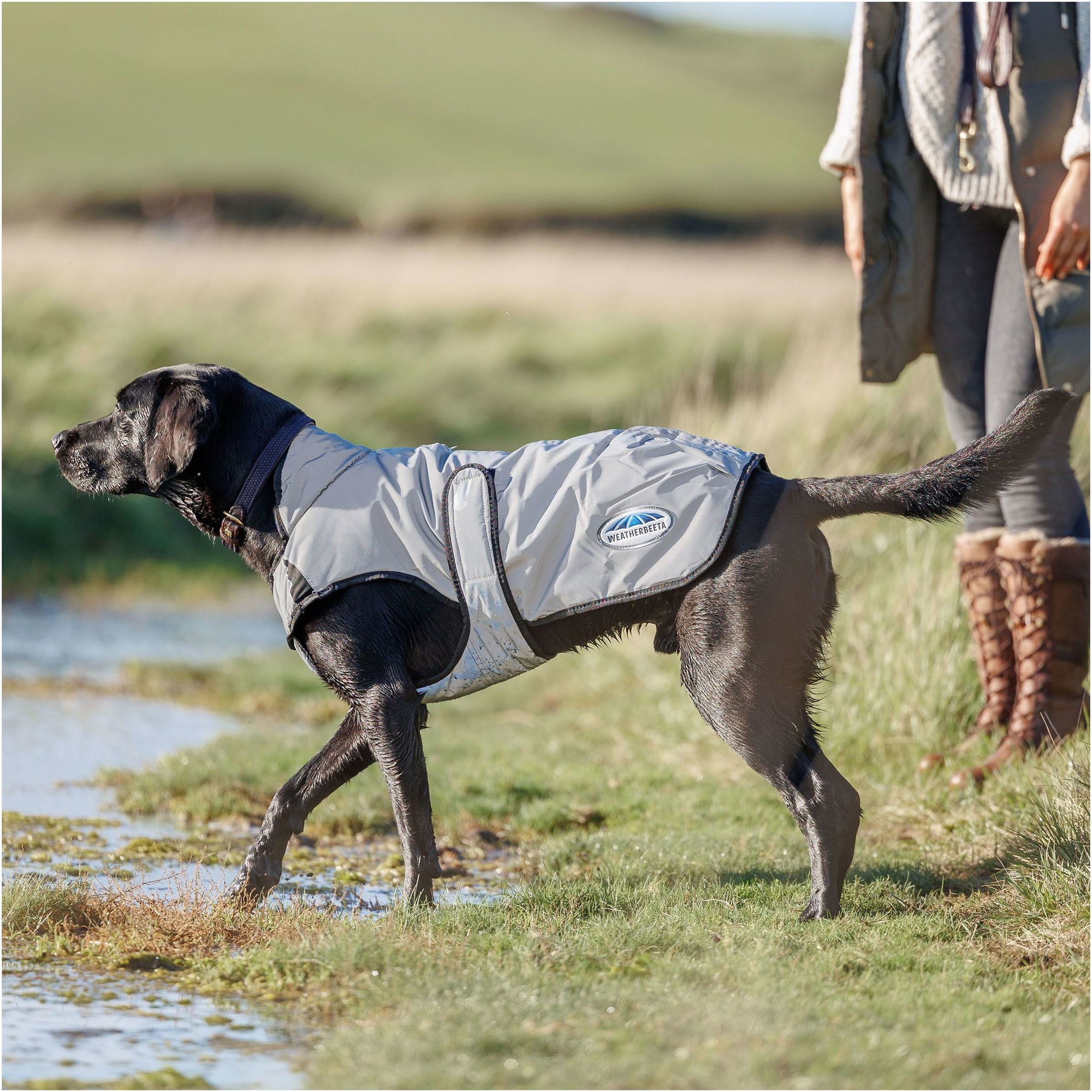 Weatherbeeta Comfitec Reflektierender Hundemantel - Silber