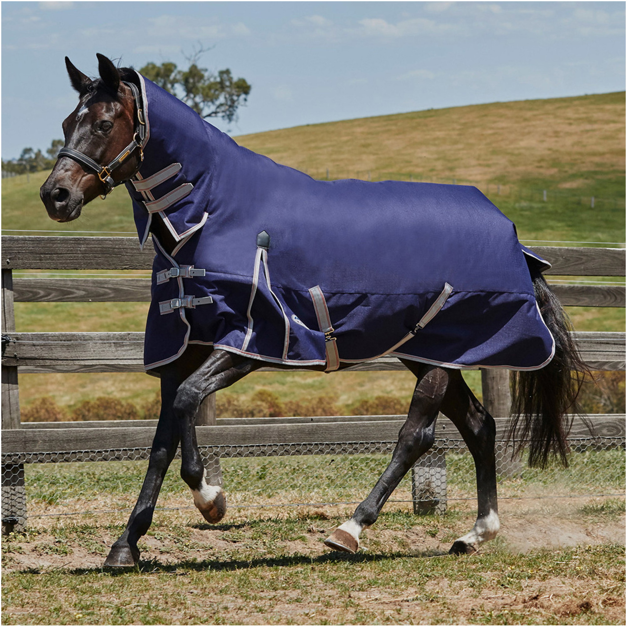 Weatherbeeta Comfitec Essentiell Schwer Combo Nacken Sich Herausstellen Teppich - Navy