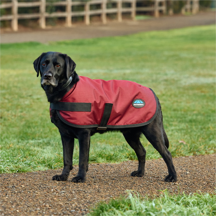 2025 Weatherbeeta Comfitec Classic Waterproof Dog Coat 1029048 - Burgundy -  Dogs | The Drillshed
