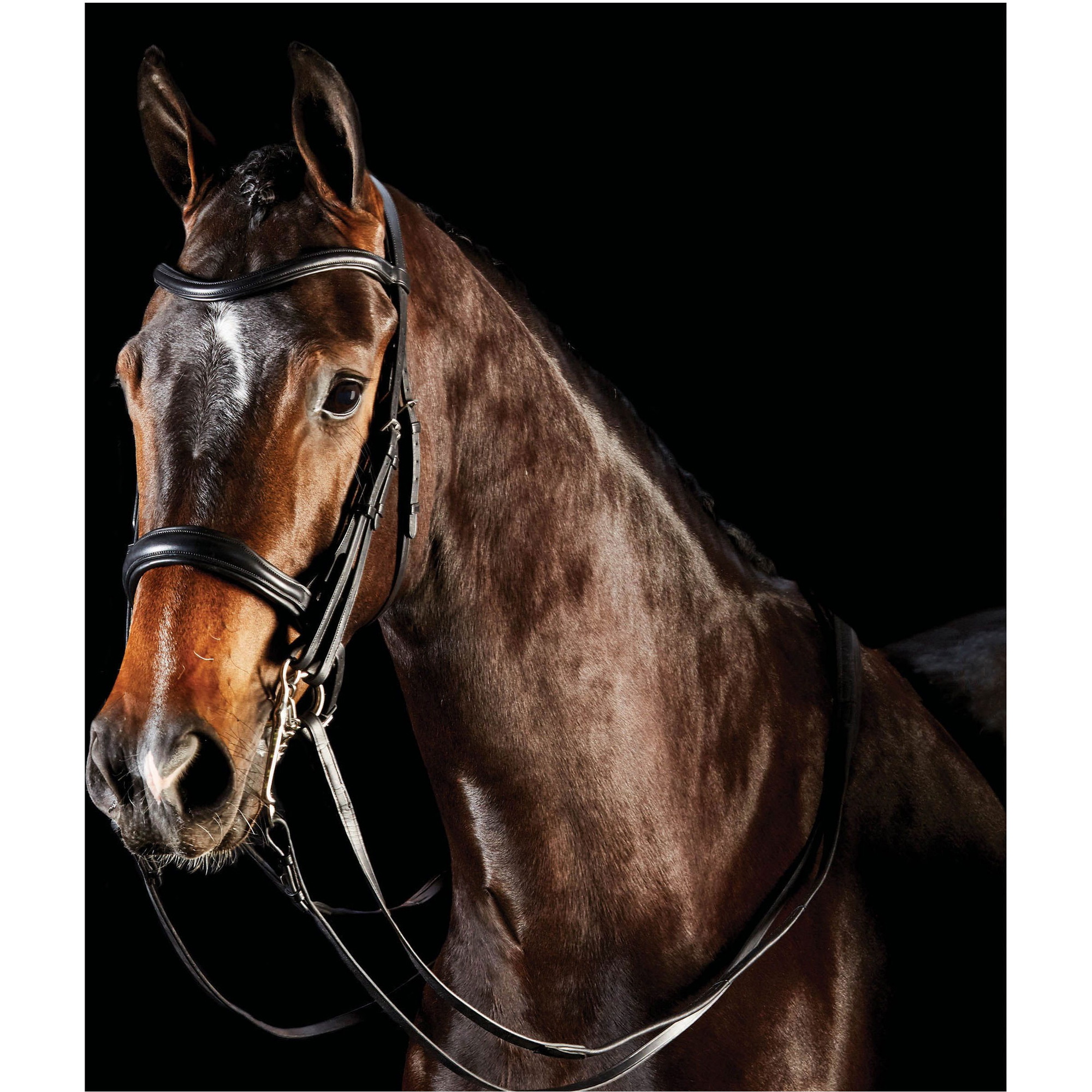 Collegiate Comfitec Weymouth Bridle - Black
