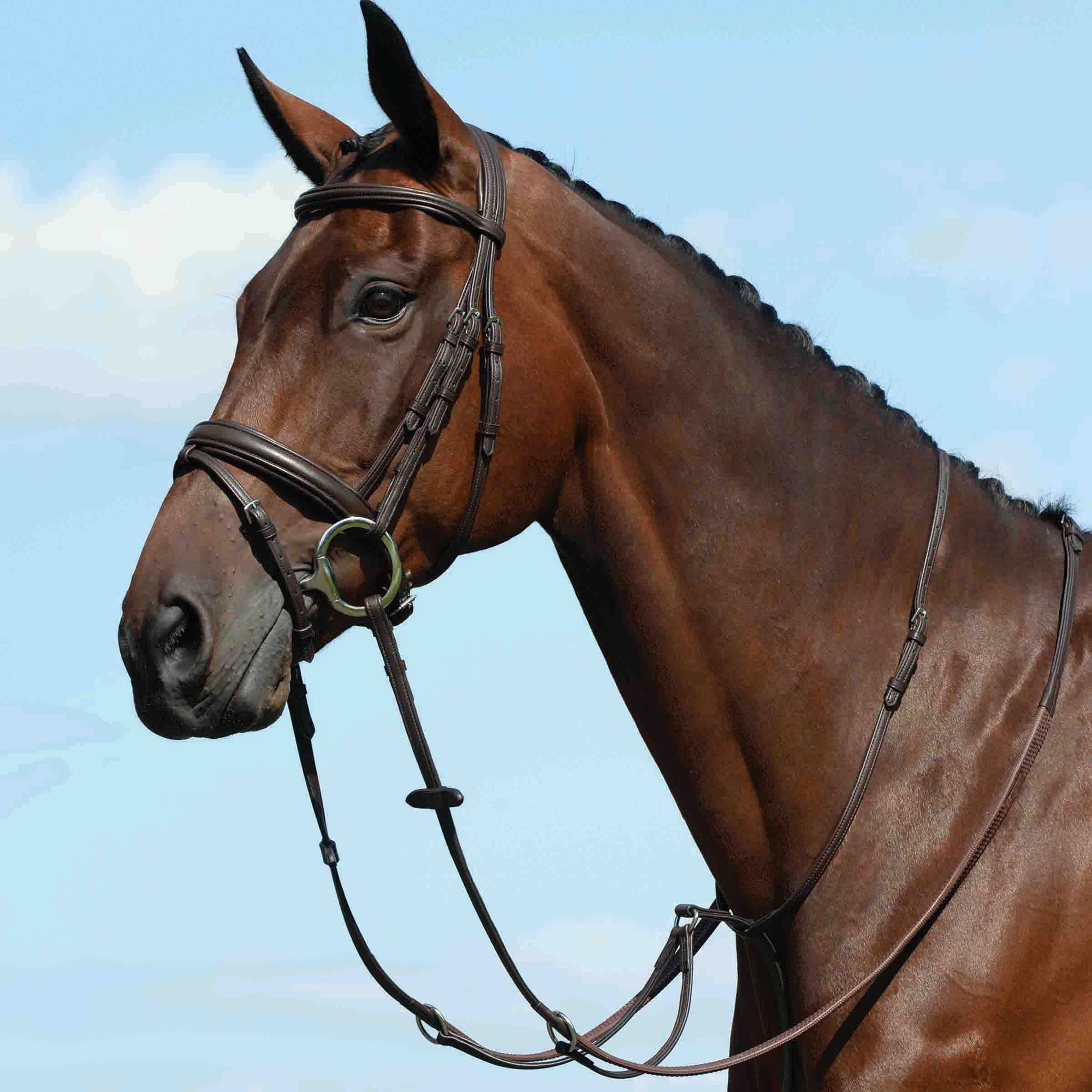 Collegiate Syntovia+ Plain Flat Running Martingdale - Brown
