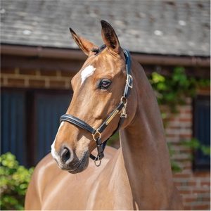 Henry James Comfort 3D Air Headcollar HC-1HJ - BLACK