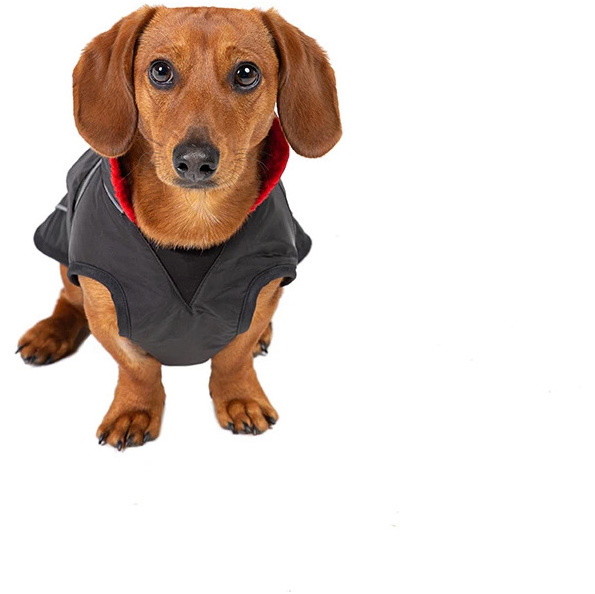 Dryrobe Dog Robe DRDR1 - Black Red - Dogs | The Drillshed