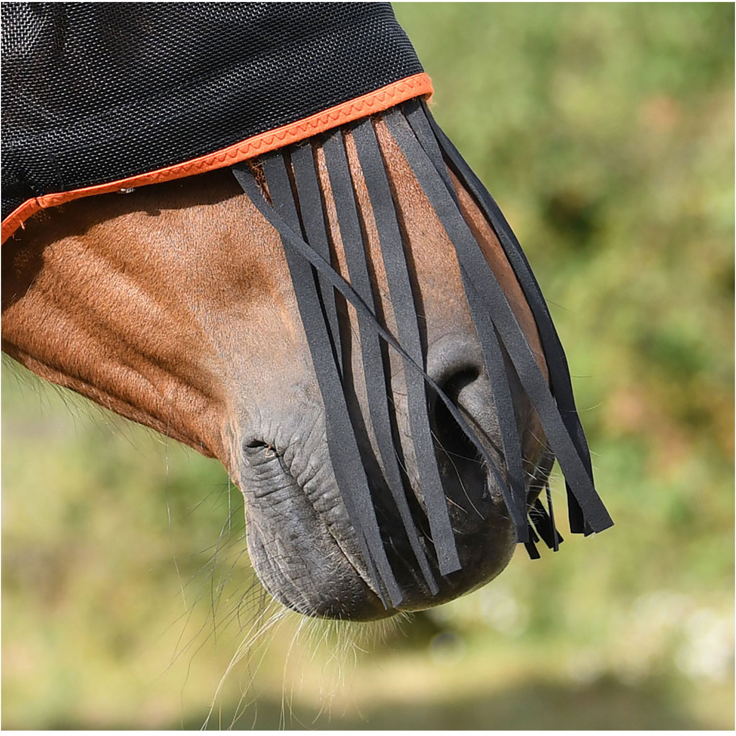 Equilibrium Field Relief Muzzle Fringe - Black / Red