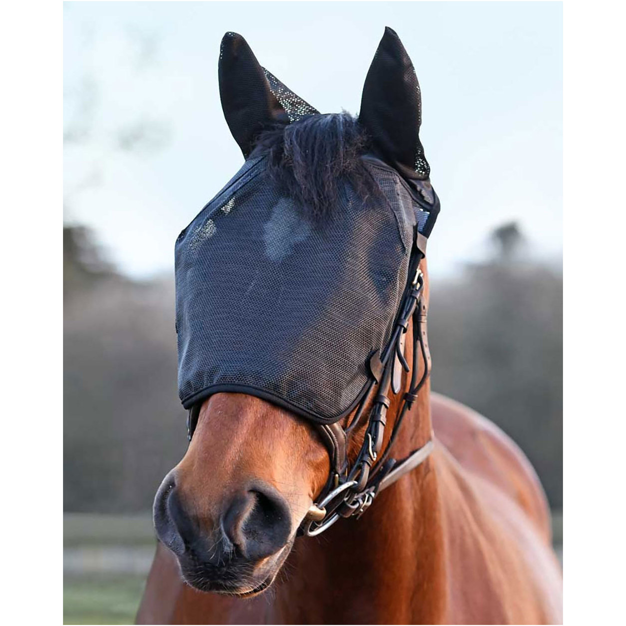 Equilibrium Net Relief Riding Mask Black EQB04