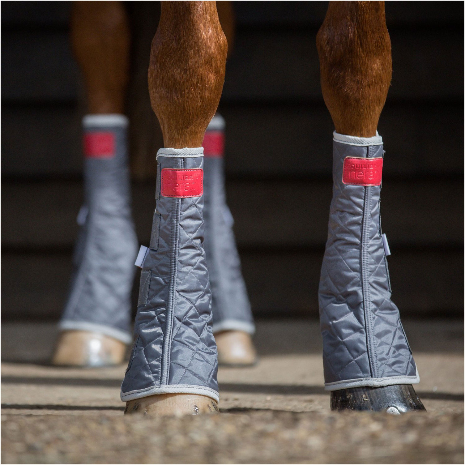 Equilibrium Magnetic Chaps  - Grey