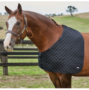 Weatherbeeta Deluxe Shoulder Guard Black