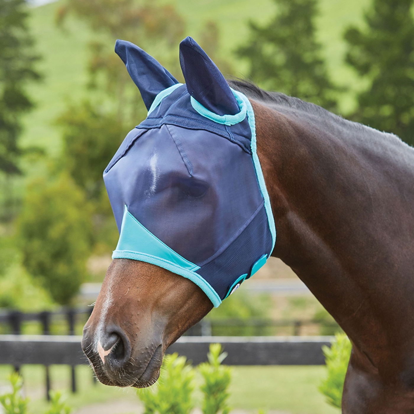Weatherbeeta Comfitec Fine Mesh Mask With Ears - Navy / Turquoise ...