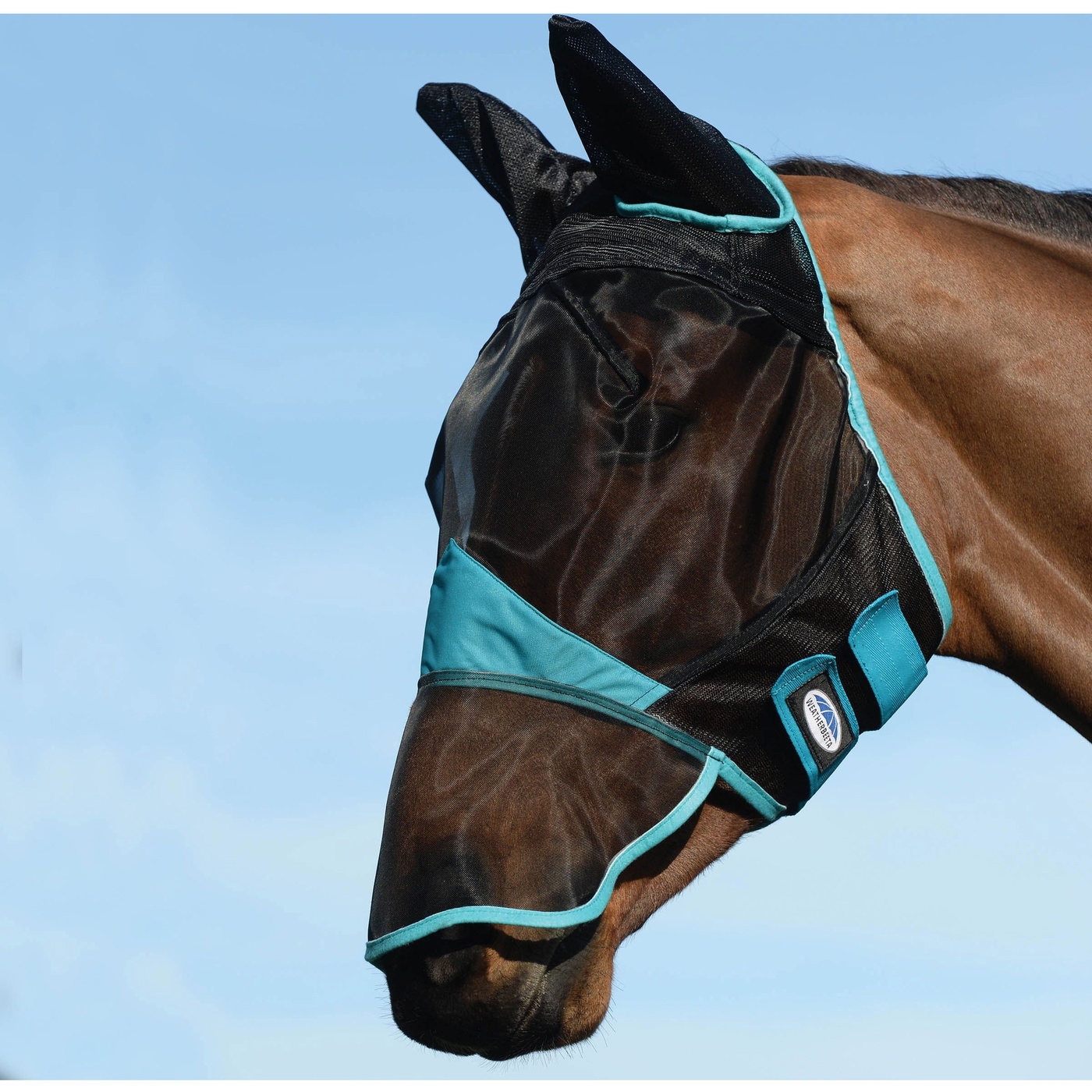 Weatherbeeta Comfitec Fine Mesh Mask With Ears & Nose - Black ...