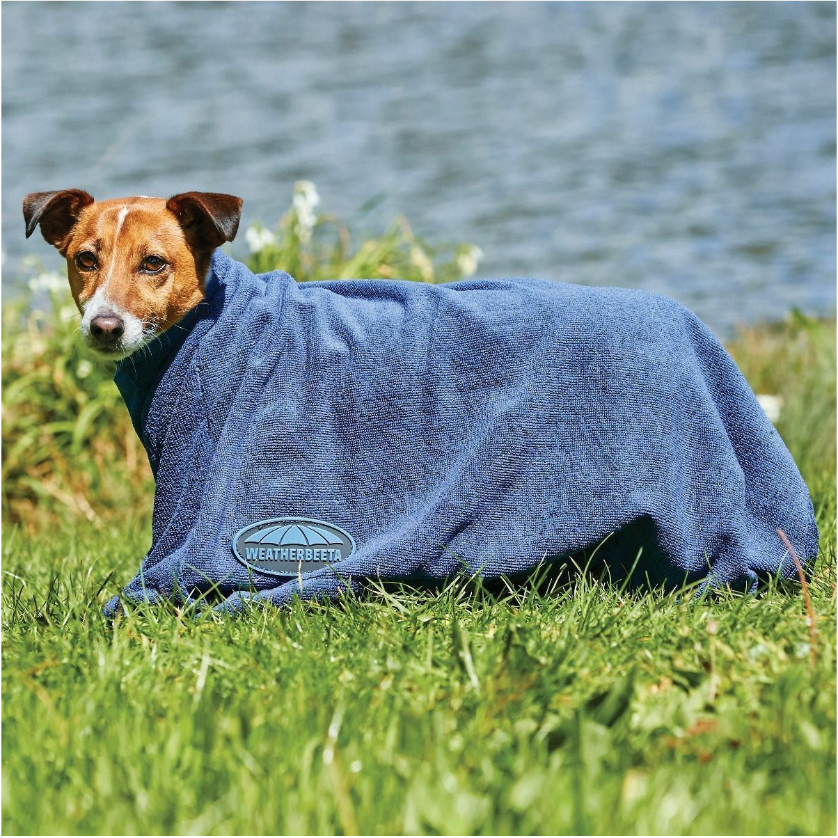Weatherbeeta Dry-Dog Bag 8025 - Navy