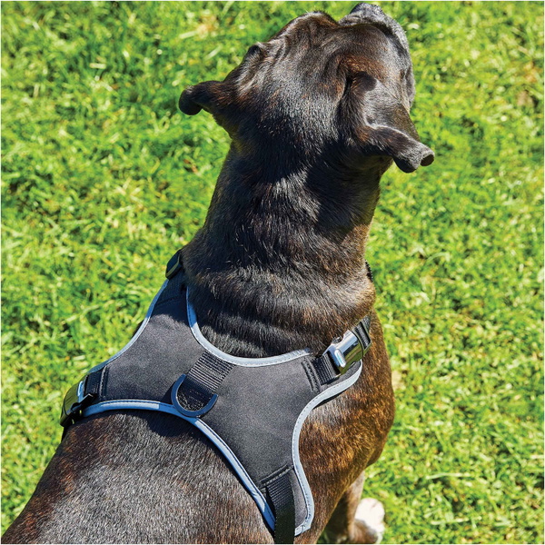 Weatherbeeta Elegance Dog Harness - Black